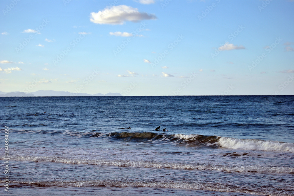Surf