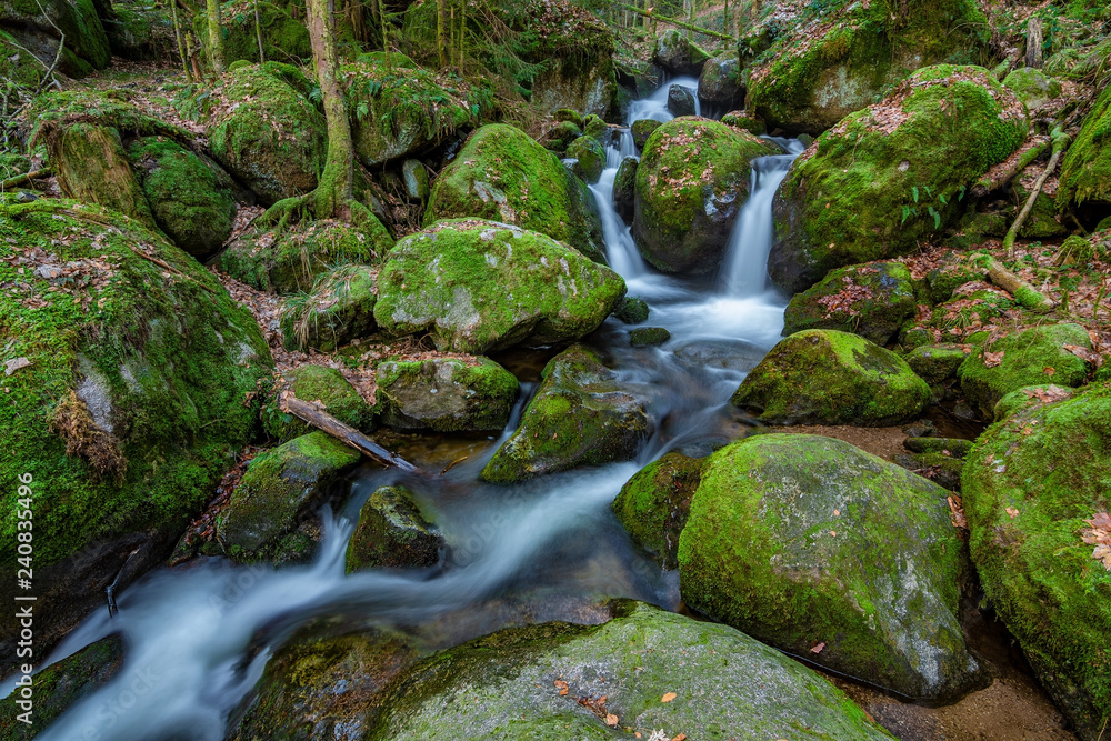 Black Forest in Germany with some smaller waterfall cascades Black Forest in Germany with some smaller waterfall cascades