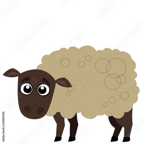sheep 