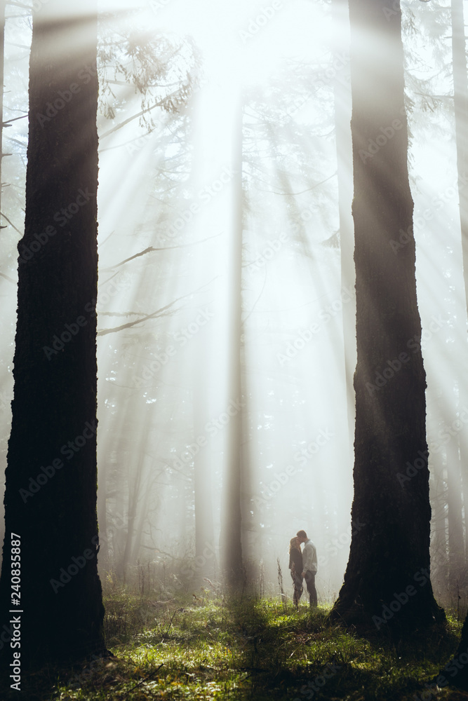 Fototapeta couple walking in forest in fog for engagement