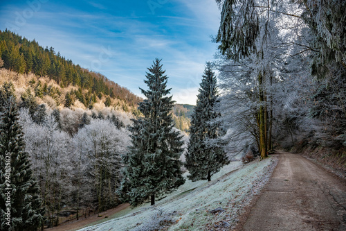 The frozen forest in Germany, Black Forest / Schwarzwald