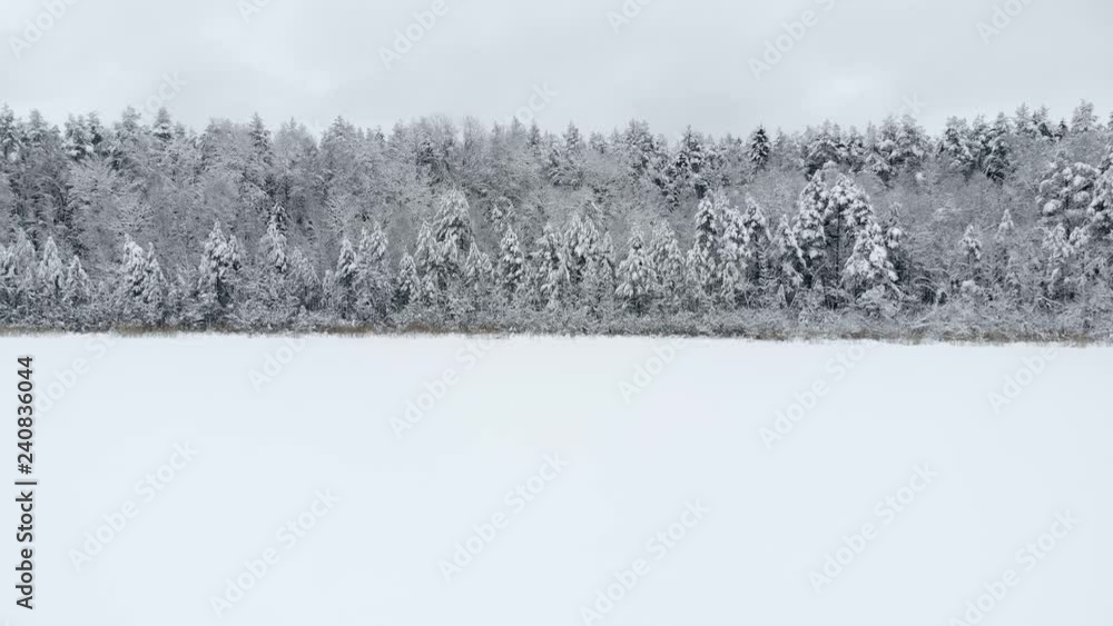 Winter season snowy mountain forest aerial shot Breathtaking natural landscape, frozen forest and dark mountain river Winter season snowy mountain forest aerial shot Breathtaking natural landscape, frozen forest and dark mountain river