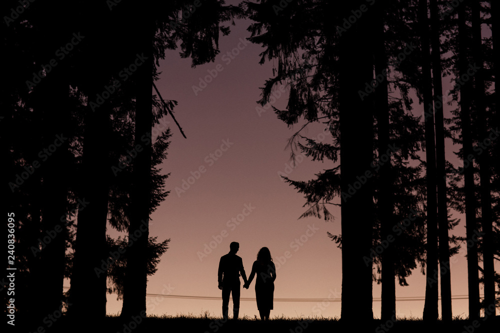 two people at sunset dusk holding hands near tall trees two people at sunset dusk holding hands near tall trees