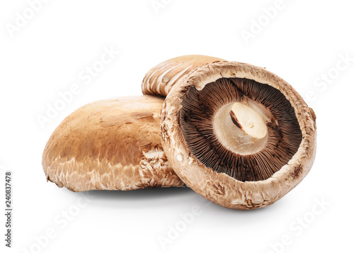 Raw mushrooms on white background