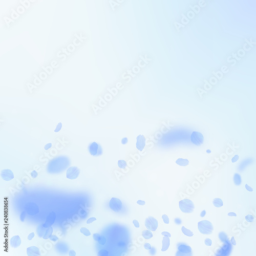 Dark blue flower petals falling down. Adorable rom