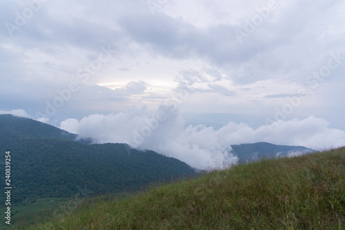 green grass field on Top of mountain in Mon jong doi, Chiang Mai, Thailand