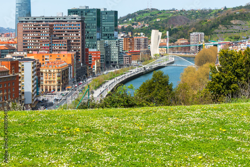 Bilbao from Etxebarria Park, Basque Country, Spain photo