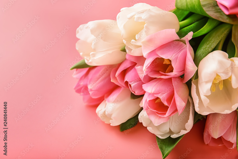 Bouquet of fresh tulips on coral background Bouquet of fresh tulips on coral background