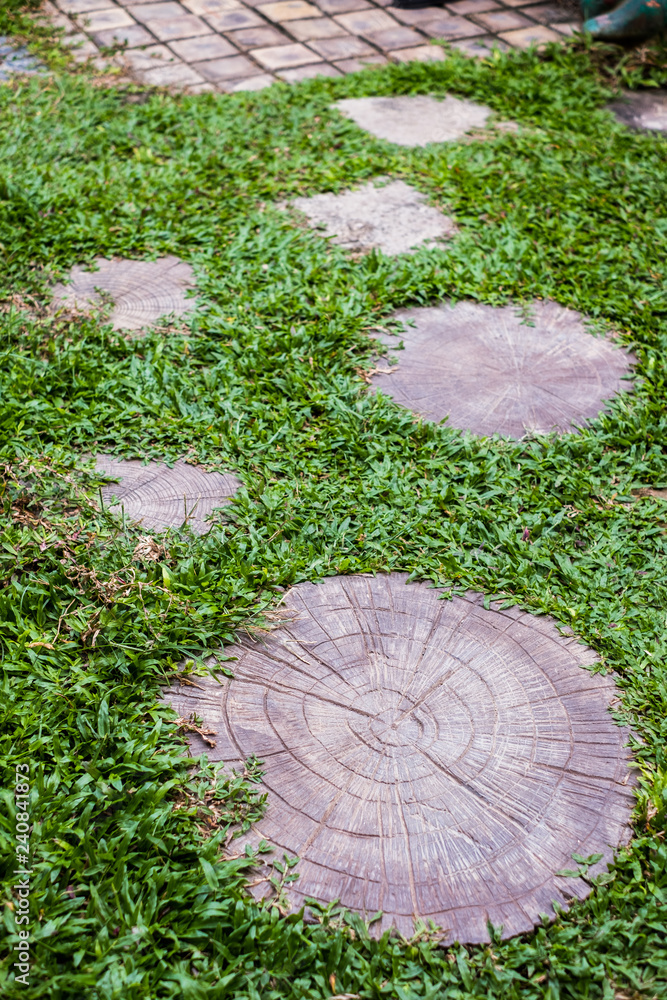 Round stone walkway decoration in lawn