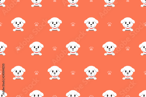 Fototapeta Vector cartoon character bichon frise dog seamless pattern for design
