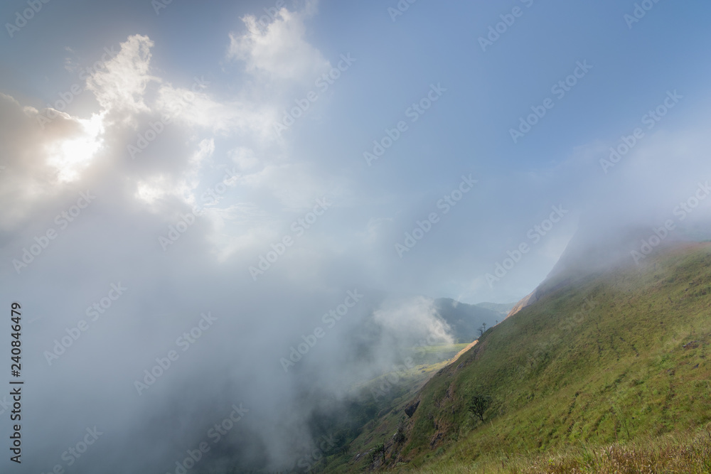 cloud, fog and mist on top of mon jong doi at Chaing mai,Thailand