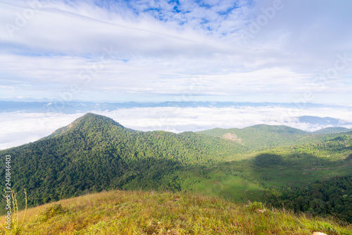 cloud, fog and mist on top of mon jong doi at Chaing mai,Thailand © moxumbic