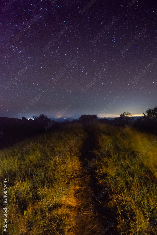 grass in the dark and star in the sky on top of the mountain at mon jong doi, Chiang mai, Thailand