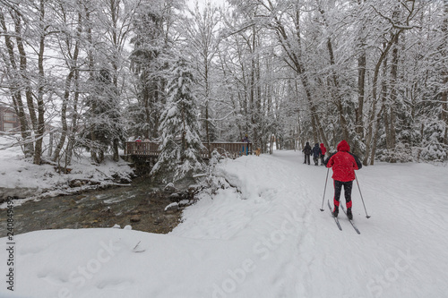 Cross Country Skiing in the woods