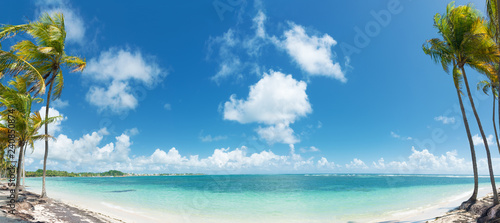 Konstfotografi Blue sky,coconuts trees,  turquoise water and golden sand, panoramic view of Caravelle beach, Saint Anne, Guadeloupe, French West Indies