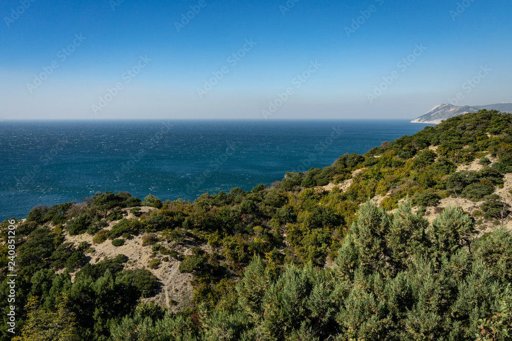 The coastline overgrown with bright greens of old junipers. Blue sea goes into the blue cloudless sky. Selective focus. There is a place for your text. Nature concept for design