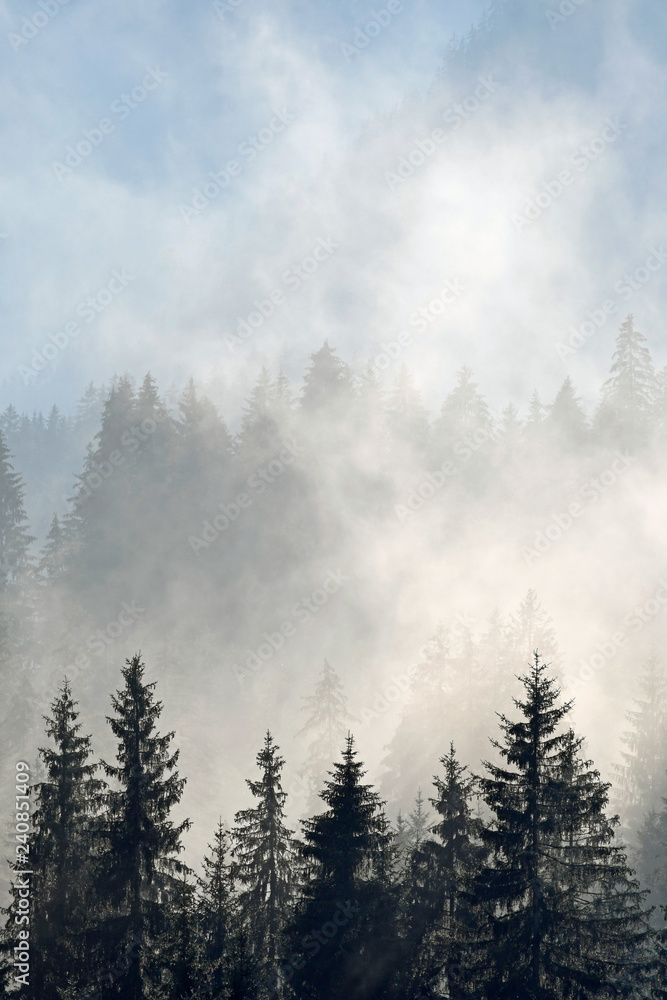 Fototapeta mgła w Kleinwalsertal
