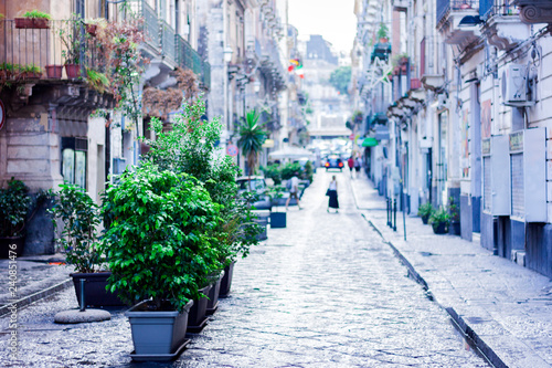 Travel to Italy - historical street of Catania, Sicily, decorative plants in pots