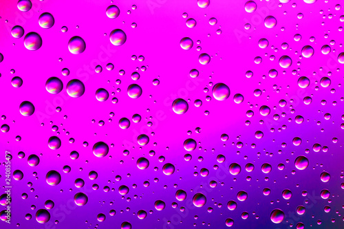 Nice pink and purple gradient color background from water drops of the different size. Abstract water droplets background.