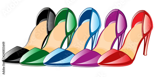 Vector illustration feminine footwear loafers of the miscellaneous of the colour