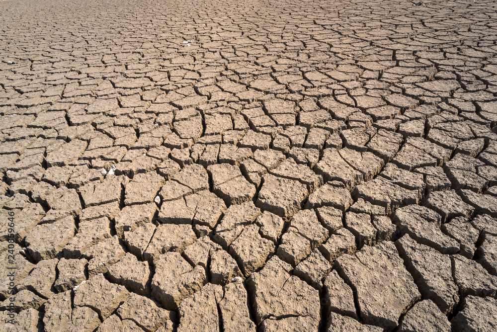 Dry cracked earth background, clay desert texture Dry cracked earth background, clay desert texture