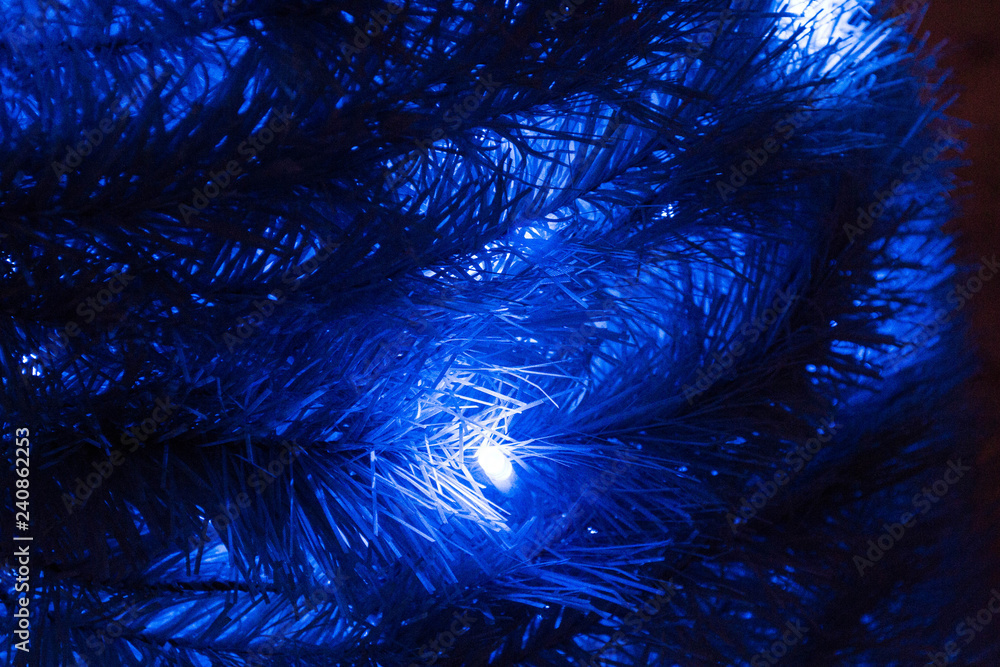 Fototapeta premium Blue bulbs of a garland on branches of a fir-tree at night