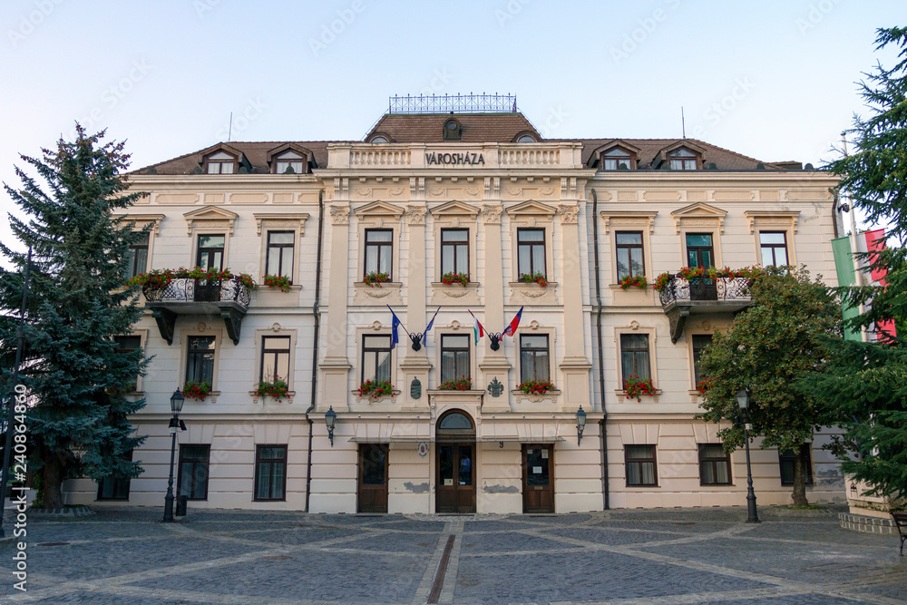 Obraz premium Veszprem city hall