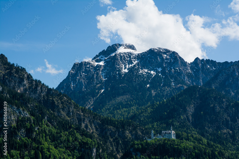 Obraz premium Schloss Neuschwanstein Deutschland und Umgebung
