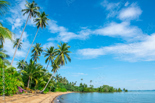 lonelay beach with coconut trees