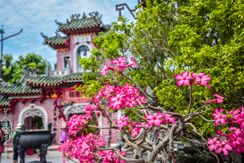 flowers in front of temple