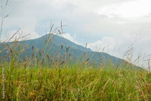 Cloud and Fog in the morning at Doi Mon Jong  a popular mountain near Chiang Mai  Thailand