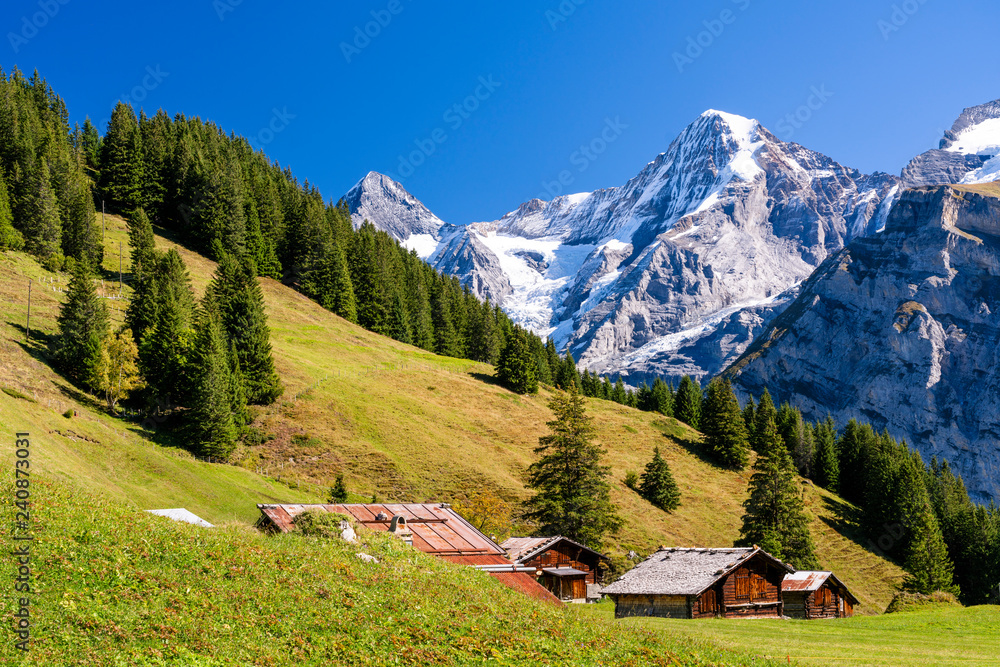 Switzerland, Bernese Oberland, Birg, Blumental near Muerren Switzerland, Bernese Oberland, Birg, Blumental near Muerren