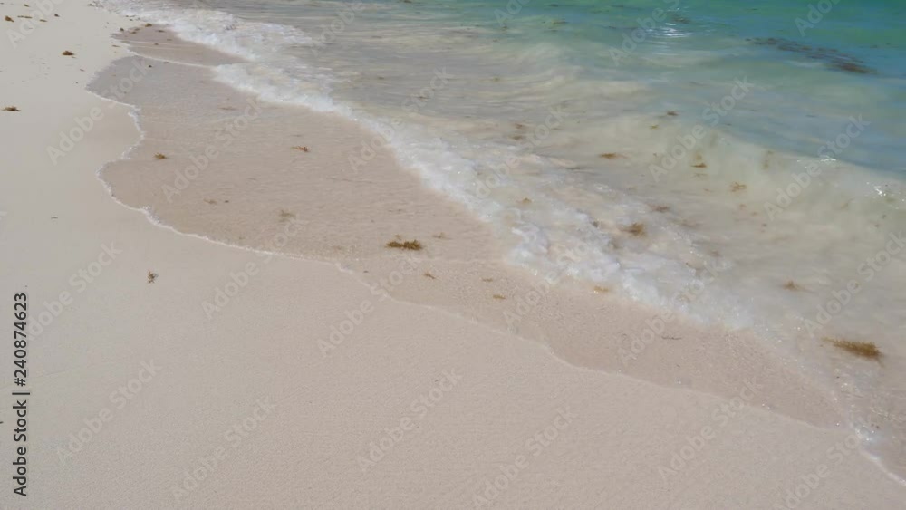 Tropical shore with waves of caribbean sea, nobody Tropical shore with waves of caribbean sea, nobody