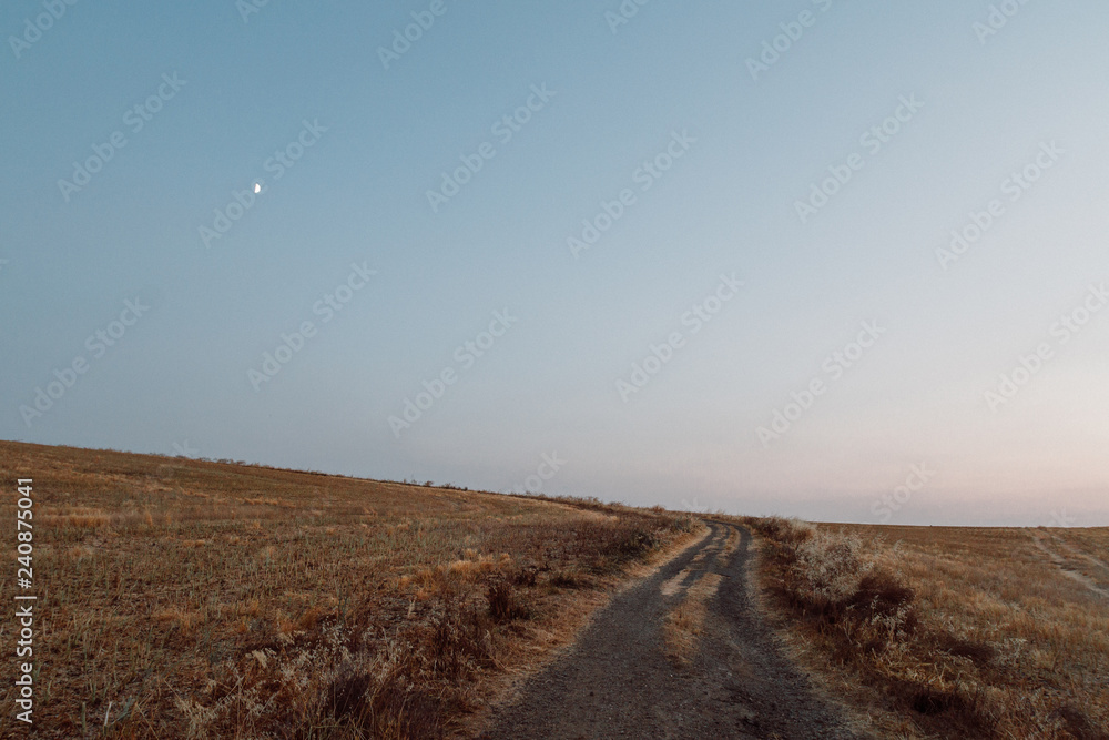 Country Road To Nowhere With Moon At Sunset