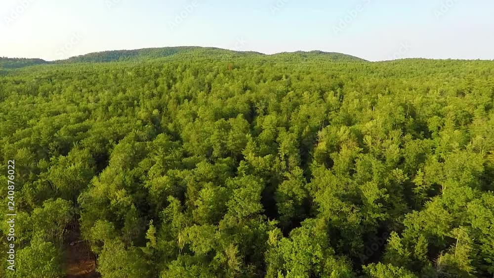 Aerial Fly Over Tree Line Forrest Maine - 2 Aerial Fly Over Tree Line Forrest Maine - 2