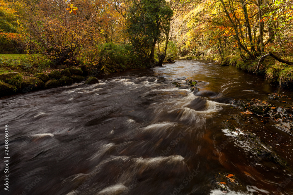 River Teign in Autumn