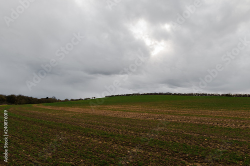 Empty Field On An Overcast Day © Adam