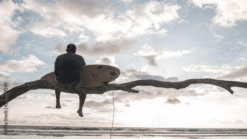 surfer sitting on tree at beach photo