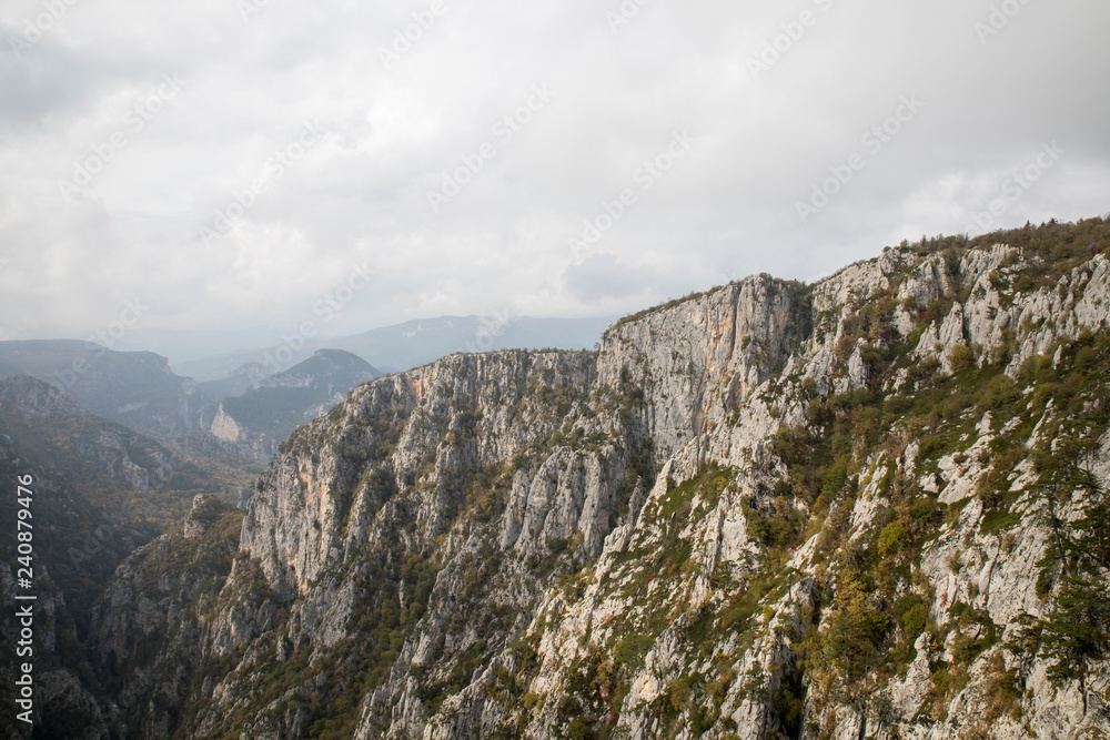 Naklejka premium Mountain Forest of Pine Trees