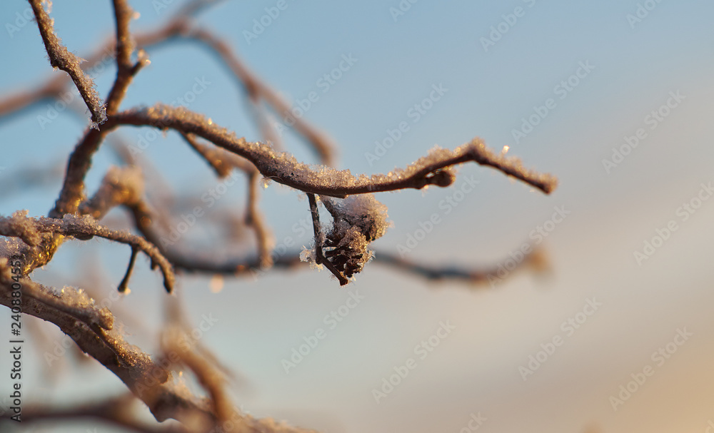 Winter Beautiful Christmas landscape Winter Beautiful Christmas landscape