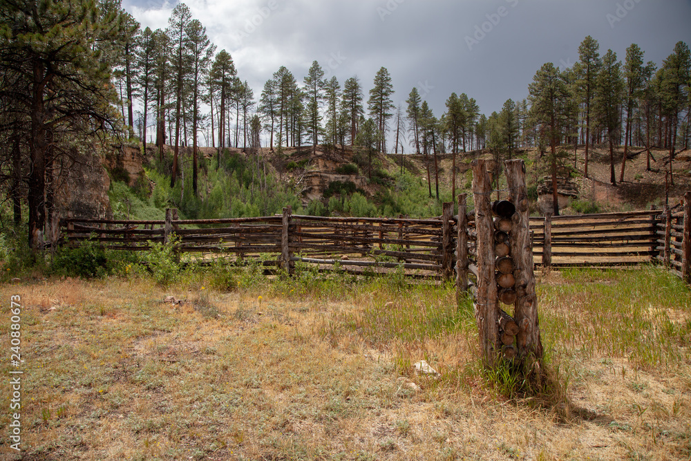Cattle Pen, Billy Sink, Kiabab National Forest, Arizona Cattle Pen, Billy Sink, Kiabab National Forest, Arizona