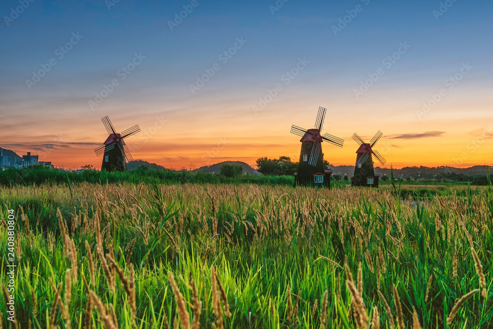 Fototapeta premium The sun rises in early morning windmill at Sora Ecological Wetland Park in Seoul, South Korea
