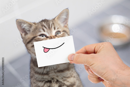 Fototapeta Naklejka Na Ścianę i Meble -  funny cat with smile and tongue on cardboard