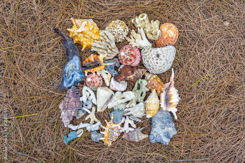 Multicolored shells folded in the shape of a square photo