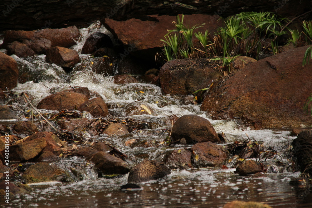 Waterfall