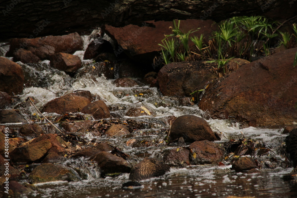 Waterfall