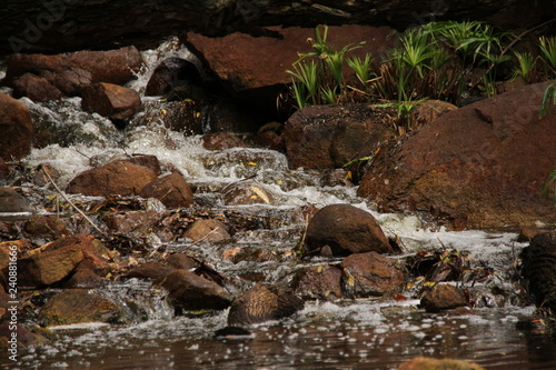 Obraz na płótnie Waterfall w salonie