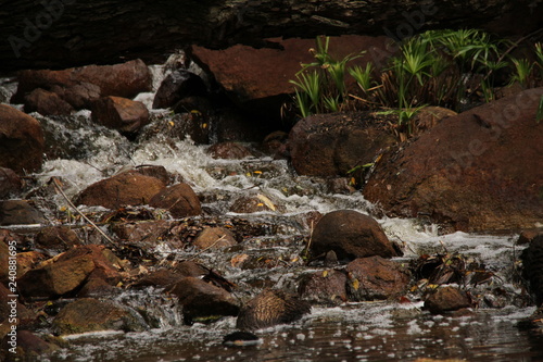 Obraz na płótnie Waterfall w salonie