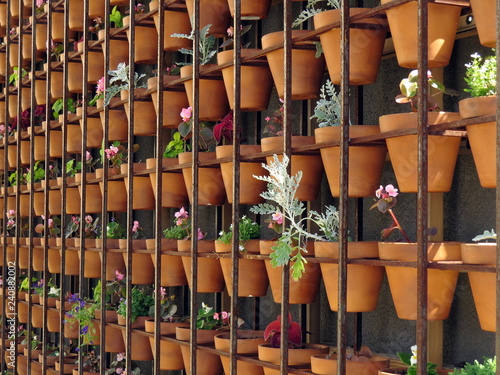 Decorative wall of flowers in pots