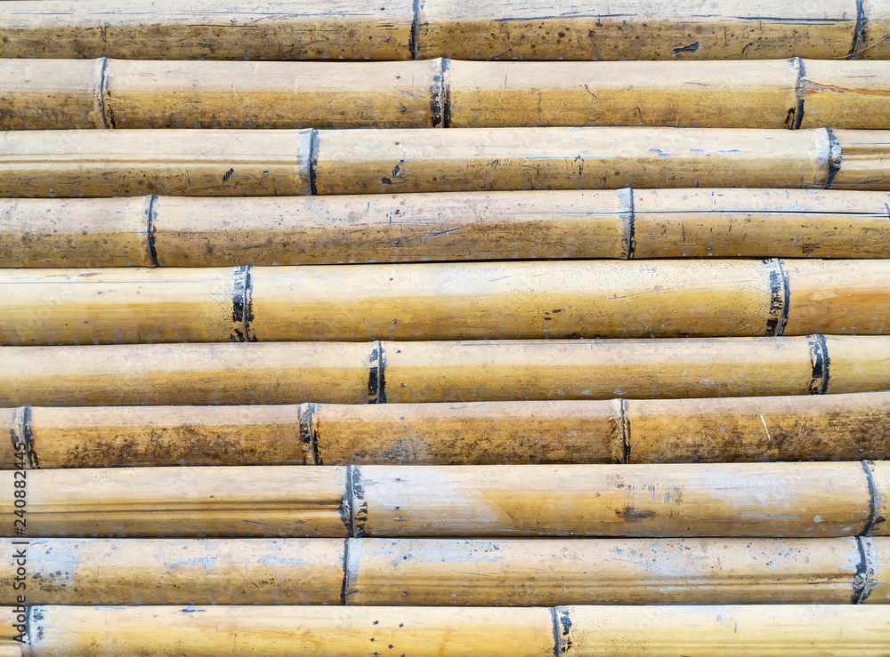 bamboo fence bamboo fence